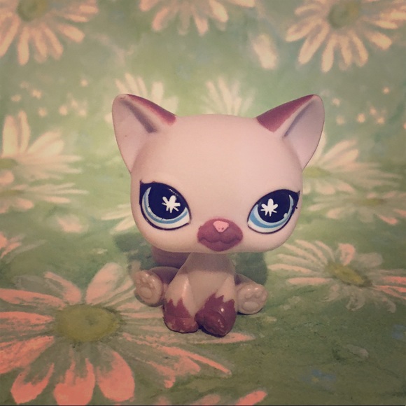 lps sitting down cat